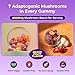 Ashwagandha Gummies and Lions Mane Mushroom Gummies Supplement - Organic - Reishi, Cordyceps, Turkey Tail, Maitake, Shitake, Chaga - Immune Defense, Boosts Cognitive Performance, Vegan, Low Carb