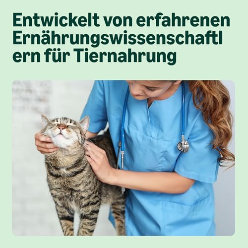 by Amazon Katzensfutter, nass, Dose, Lachsstück in Sauce (ASC-Zertifiziert), 6 x 415 g