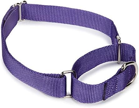 Guardian Gear Asst Color Bulk Martingale Dog Collars Shelter Rescue Litter Pick Size/Quantity (10-16 Inch 50 Collars)