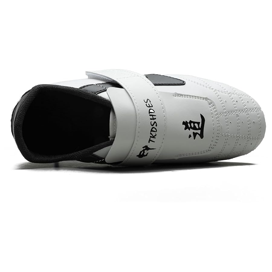 MSMAX Art Taekwondo Shoes Light Weight Boxing Karate Kung Fu