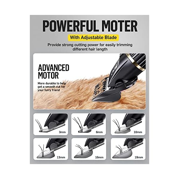 Dog-Grooming-Kit-2-Speed-Low-Noise-Dog-Clippers-for-Grooming-Rechargeable-Cordless-Pet-Dog-Hair-Grooming-Clippers-Dog-Trimmer-for-Grooming-for-Small-Large-Dogs-Cats-with-Thick-Coats Rechargeable Dog Grooming Clippers - 2-Speed Low Noise Kit for Small & Large Dogs Cats