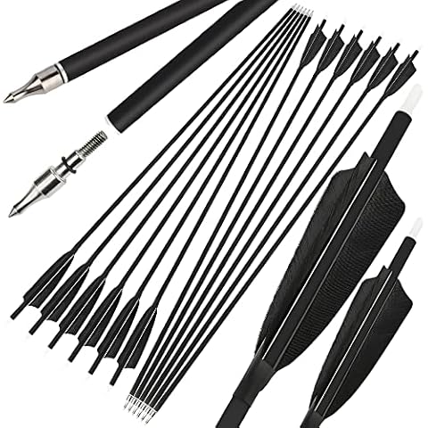 ZSHJGJR 30 Inch Archery Carbon Arrows Hunting Arrows with 4” Turkey Feather Removable Tips Targeting Practice Arrows 500 Spine for Compound & Recurve & Traditional Bow 6/12pcs (Black, 12) Cover