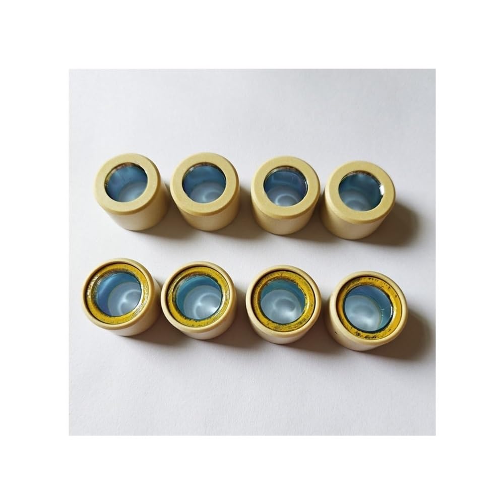 Rouleaux de variateur 25x17 mm 25g maxiscooter MP3 X9 500 BV500