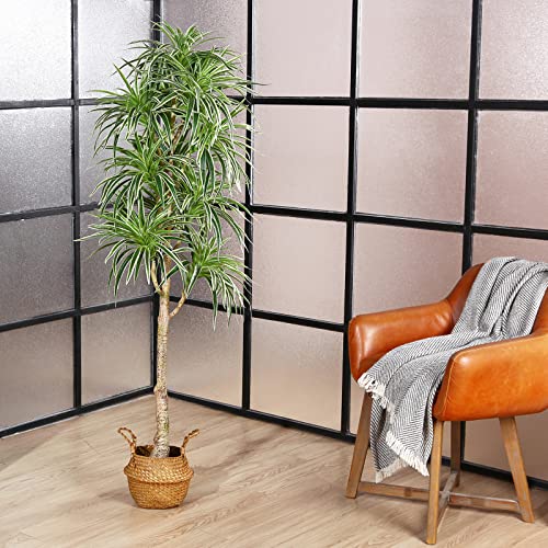 Soguyi Artificial Plants Bbcdl1.5M-1 #TOP7