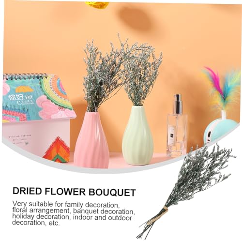 Bouquet pequeño de Gypsophila natural seca para decoración miniatura 6