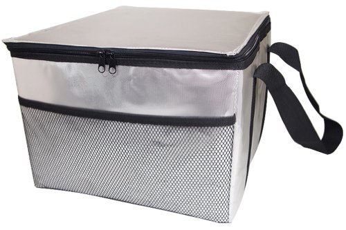 ソフトクーラーバッグ アルミ 22L GN-206