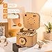 Rowood 3D Puzzles for Adults, Wooden Mechanical Gear Model Kits for Age 14+ - Treasure Box