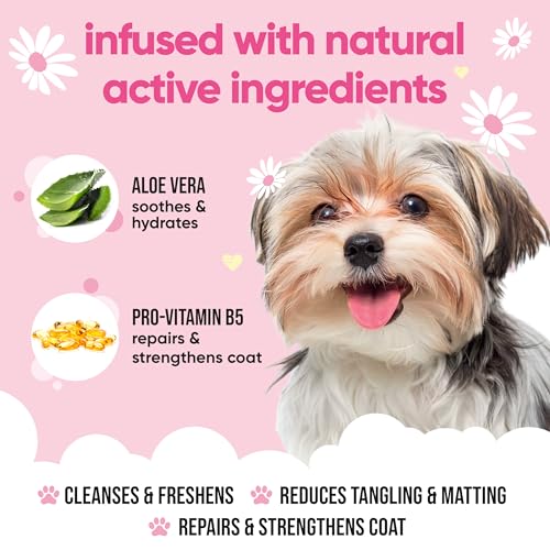 Babyfrisch Hundeshampoo von Buddycare - Shampoo für müffelige Hunde ab 8 Wochen - Baby-Puder-duftendes Welpen-Shampoo mit Aloe Vera und Provitamin B5 (500ml)