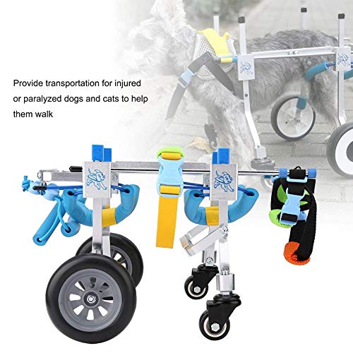 QYLT Sedia rotelle Cane, Carrozzina per Animali