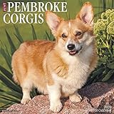 Just Pembroke Corgis 2020 Wall Calendar (Dog Breed Calendar)