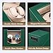 Mcbazel Watch Winder for Automatic Watches, Double Automatic Watch Winder Box, Automatic Watch Display Storage Rotation Wristwatch Box with 2 Slots (Green PU Leather)