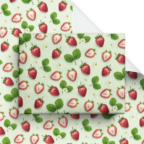 Cheerland Xgx[ bsOy[p[ XC[ge[} t[c Mtgbv ԕ  a  xr[V[  NX}X o^C f[ V[gP[L p[eB[pi fR[V 12