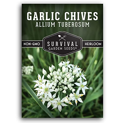 Survival Garden Seeds 1 Pack Garlic Chives Seed for Planting - Packet with Instructions to Grow Delicious Perennial Herbs in Your Home Vegetable Garden - Non-GMO Heirloom