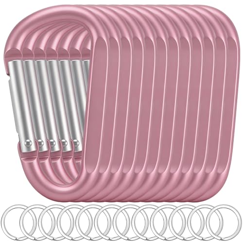 Image of 12PCS Carabiner Keychain Clip - 3 inch Aluminum Caribeener Key Clip,D Ring Shape Nonlocking Carabeaner Hook Buckle,Multi-Function Spring Snap Key Clips Tool for Home,Camping,Hiking,Traveling,Backpack