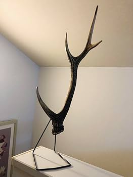 鹿の角とアイアンで作り上げた最強の釣竿置き、最高に超かっこいいディスプレイ Amazon | 鹿の角とアイアンで作り上げた最強の釣竿置き 最高に超