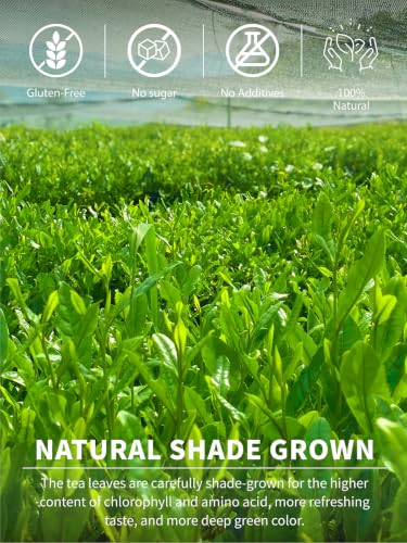 Image of TeeLux Matcha Green Tea Powder, Shade Grown Culinary Grade Matcha, 3.5oz