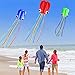 Hengda kite-Pack 3 Convention Colors-Beautiful Large Easy Flyer Kite for Kids-Software Octopus-It's Big! 31 Inches Wide with Long Tail 157 Inches Long-Perfect for Beach or Park