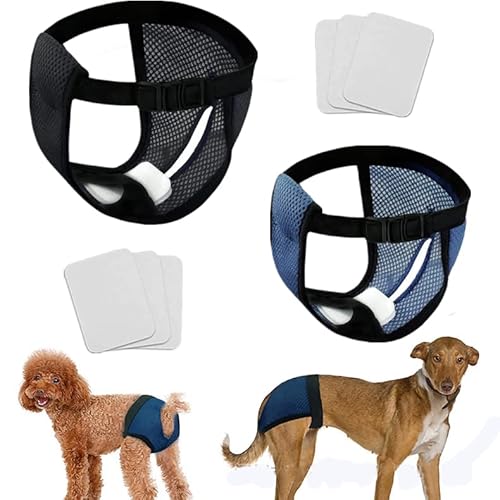2 Hundewindeln für Hündinnen,Läufigkeitshose für Hündinnen,Wiederverwendbare Hundewindeln mit 6 Hygienepad Waschbare für Hündinnen,Schutzhose Physiologisch Läufigkeitshosen(M Schwarz,Blau) Cover