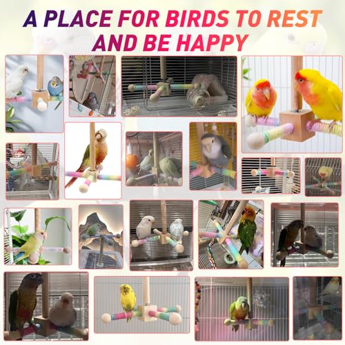 Image of Bird Stand Perch Toy, 360 Rotating Bird Perch Toy Cage Accessories Interactive Spinning Parakeet Wooden Exercise Wheel Parrot