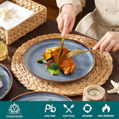 Image of vancasso Playa 10.25 inch Dinner Plate for 6 People, Stoneware Side Plates for Dessert /Pasta /Main Course, Dishwasher and Microwave Safe, Scratch Resistant Serving Plate, Lavender Blue