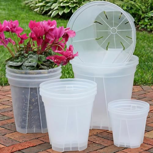 THMFHMW 6/8/10/12 Inch Large Clear Nursery Deep Pots with Drainage Hole 12 Pack Deep Plant Pots with Drainage for Seedling Flower Vegetable Ideal for Hyacinths Amaryllis Reusable Deep Pots