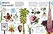 Trees, Leaves, Flowers and Seeds: A visual encyclopedia of the plant kingdom