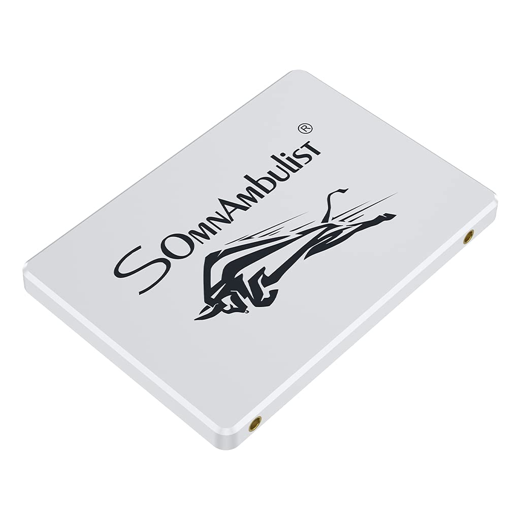 Somnambulist SSD 2TB SATA III 6Gb/s Internal Solid State Drive 2.5