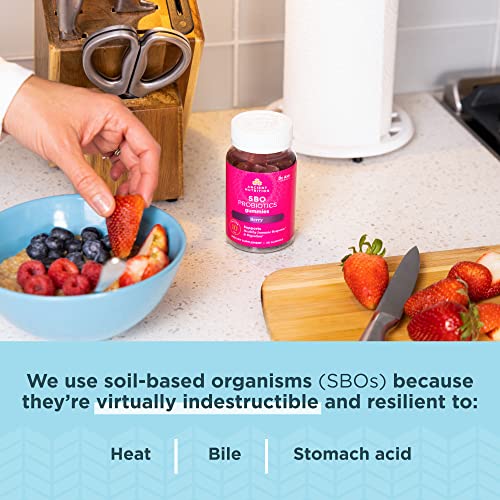 Ancient Nutrition SBO Probiotics Gummies 10 Billion CFUs*/Serving, Berry - image 5