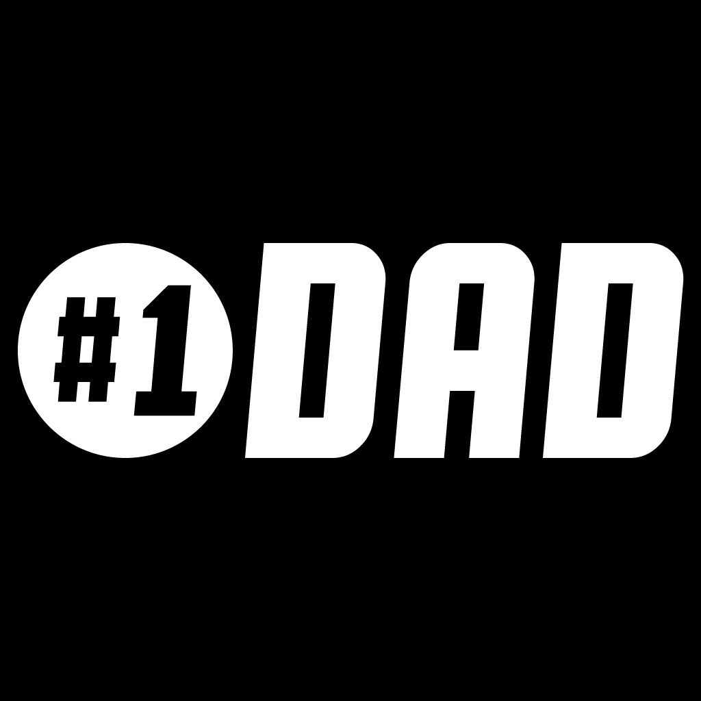 VictoryStore Outdoor Camping Chair - #1 Dad Camping Chair with Carry B