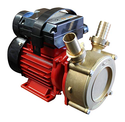 Pompe de transfert électrique bidirectionnelle de 0,55 HP pour liquides - 2