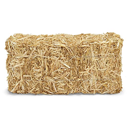 Image of FloraCraft Decorative Straw Bale 5 Inch x 6 Inch x 13-Inch Natural,(Pack of 12)