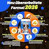 10-in-1 Probiotika für Hunde - 500g Leckerli mit wertvollen Kulturen & Präbiotika. Für das tägliche Wohlbefinden. Einfache Fütterung, hohe Akzeptanz. 300 Snacks