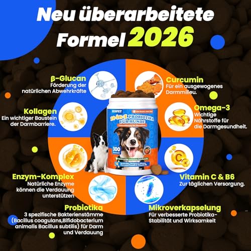 10-in-1 Probiotika für Hunde - 500g Leckerli mit wertvollen Kulturen & Präbiotika. Für das tägliche Wohlbefinden. Einfache Fütterung, hohe Akzeptanz. 300 Snacks