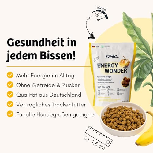 BugBell 800g High Energy Trockenfutter für Hunde, Insektenprotein ohne Getreide, Banane & Kürbis & Chia & Lachsöl & L-Carnitin unterstützen ein aktives Hundeleben, 100% transparente Deklaration