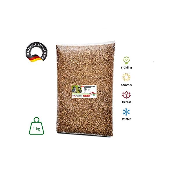 Paul´s Mühle Mehlwürmer getrocknet, Proteinreiche Würmer für Igel, Hamster, Teichfische und Vögel – Bild 3