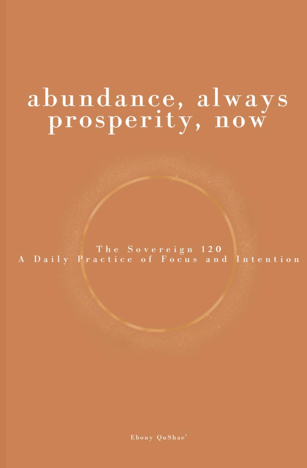 Abundance, Always Prosperity, Now: The Sovereign 120 A Daily Practice of Focus and Intention
