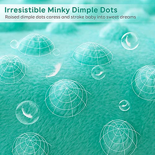 Image of Sivio Minky Dotted Weighted Blanket, Super Soft Crystal Velvet Reversible Heavy Blanket with Cute Cartoon Patterns, 3 lbs, 36x48 Inch, Green Shark