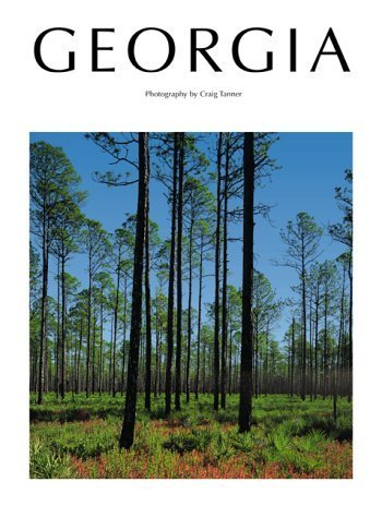 Georgia by Rheta Grimsley Johnson (2000-06-01)