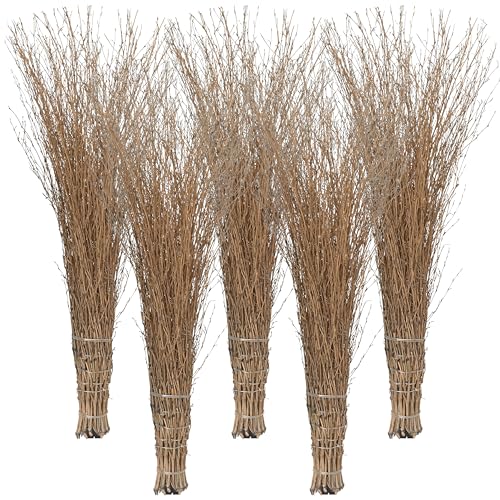 Agrarflora Bambusbesen Spar Set - Stallbesen aus Bambusreisig - Reisigbesen mit Kunststoff-Stielaufnahme - Strauchbesen, Hexenbesen, Reiserbesen - Kehrbesen für Haus & Garten - 5 Stück