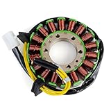 Proporciona un suministro de corriente constante para un rendimiento fiable de los sistemas eléctricos de motocicletas.