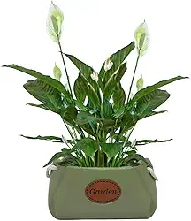 Cachepot Floreira Garden em Cerâmica Decorativa (05 Verde)