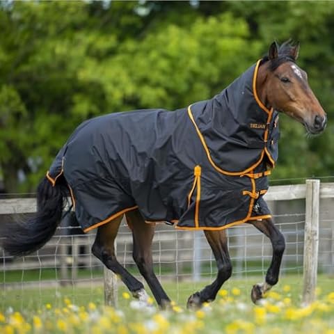 Gallop Equestrian Trojan 100g Horse Rug Cover