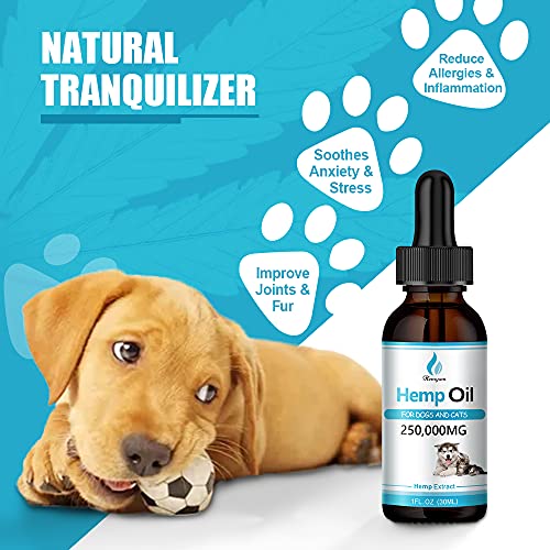 (3 Pack) Organic Pets Hemp Oil for Dogs and Cats - 250,000mg Natural Hemp Extract - for Pain, Anxiety & Stress Relief… - Image 3