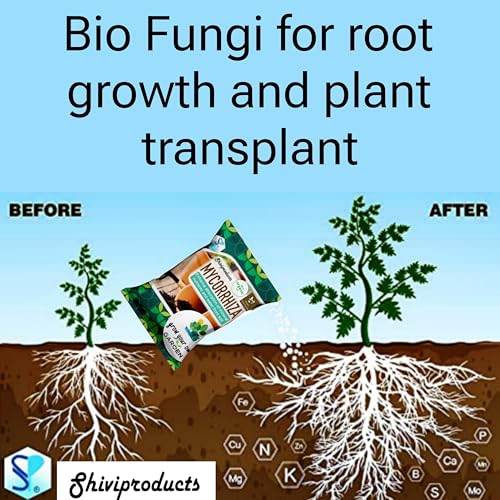 Image of Organic Mycorrhizal Biofertilizer VAM fungi (900gm)|Essential Fertilizer for Root Growth and Plant Transplant|for Home Gardening Vegetables and Flowering Plant, powder