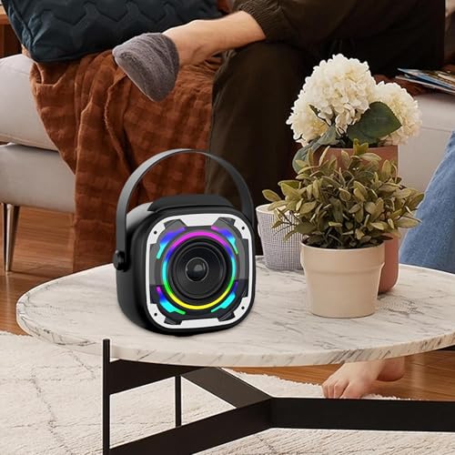 Amplificador de música con micrófono y altavoz para cantar en casa 3