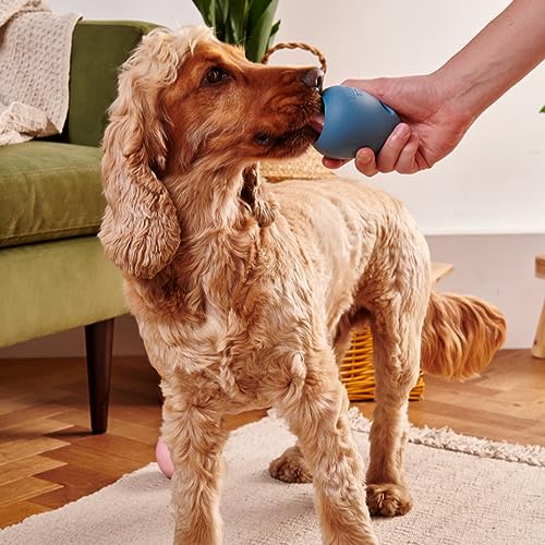 Beco Dog Toy - Natural Rubber Boredom Buster Enrichment Toy, Treat Ball - Green, Pebble - Image 3