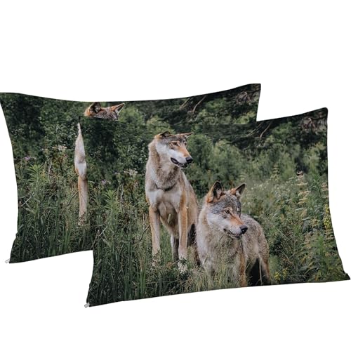 Housse de Couette 240 x 260 Loup Gris Microfibre Douce avec Fermeture Éclair