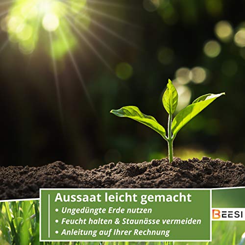BEESI100g Schildkröten Samenmischung für Futterpflanzen inkl. Aussaat Anleitung, Kräuter