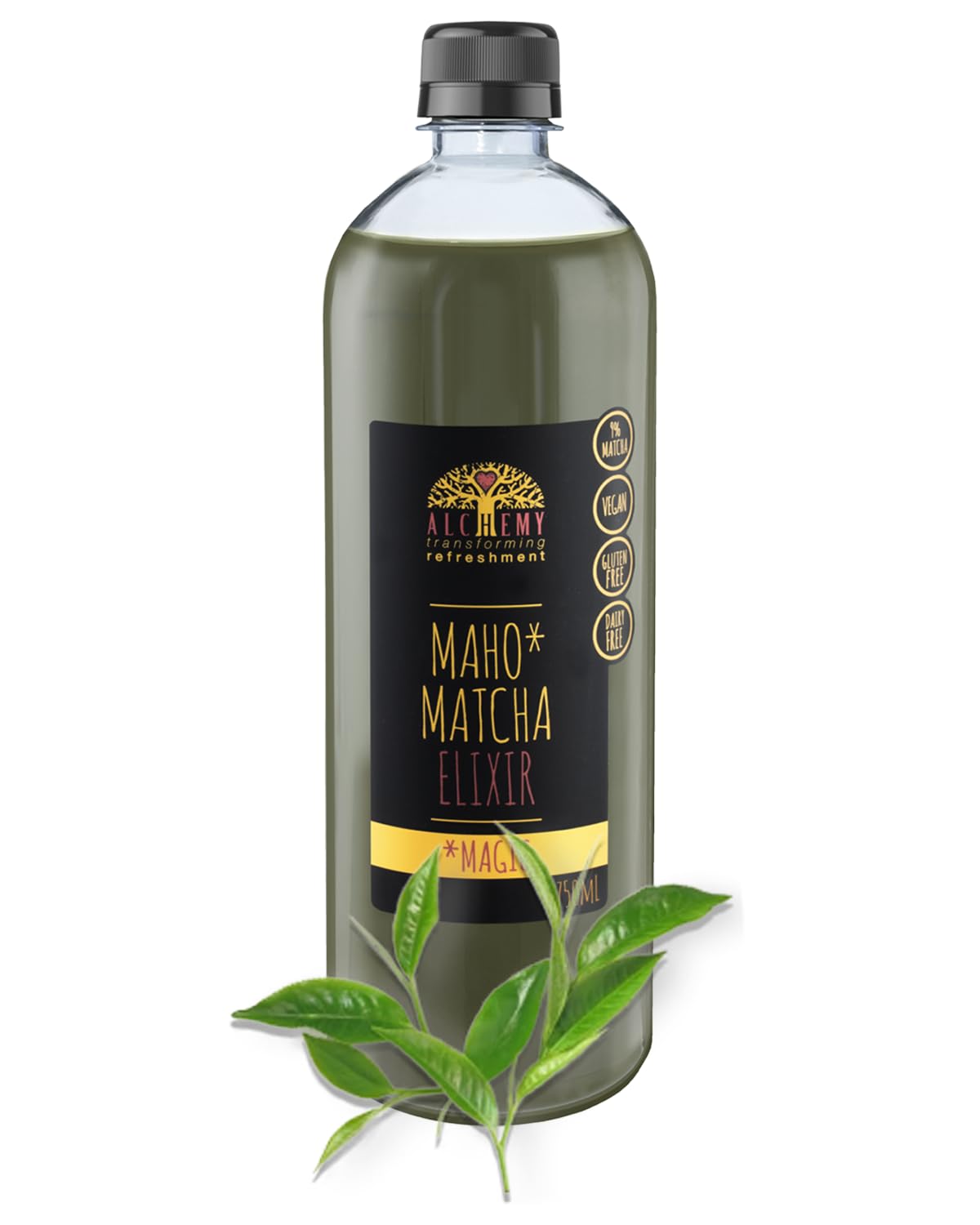Maho Matcha Cordial Elixir Syrup, Latte Superfood, Delicious Healthy Drink, Japanese Tea, Vegan & Gluten Free Coffee Alternative (1 x 750ml)