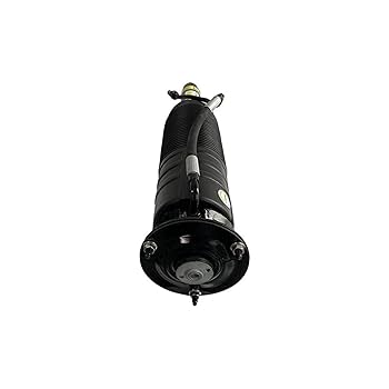 w220 Amazon.com: TecEr A2203208413, A2203208613 Compatible with